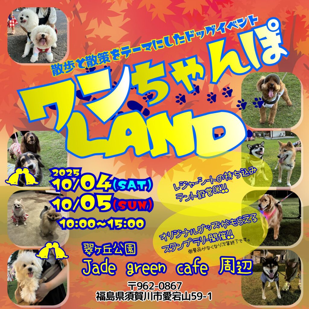ワンチャン